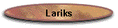 Lariks