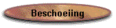 Beschoeiing