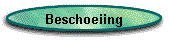 Beschoeiing