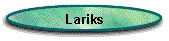 Lariks