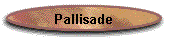 Pallisade