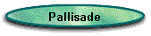 Pallisade