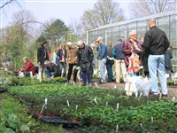 voorjaarsevenement haarlemer kweektuin