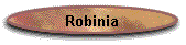 Robinia